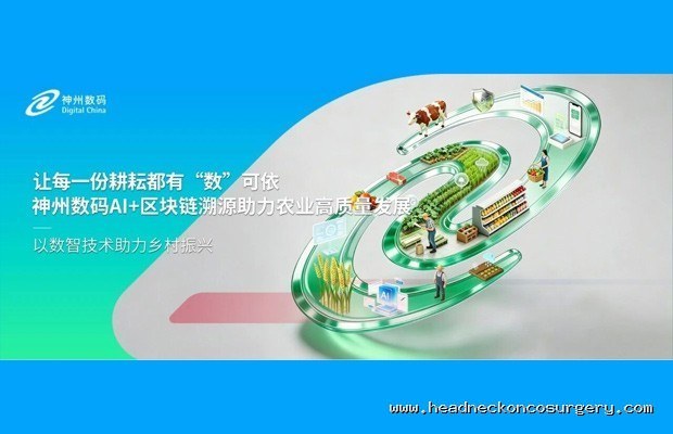 独自旅行火车上：四款全程联网单机叙事文字游戏推荐，无眩晕伴你度过长途观光时光